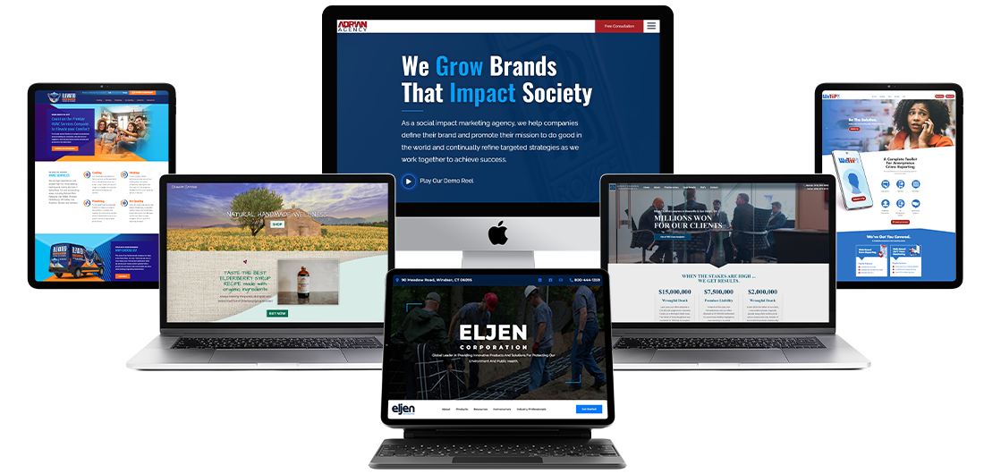 adrian agency successful website design program